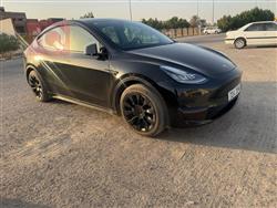 تسلا موديل Y